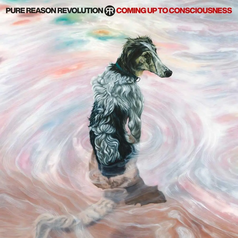 Pure Reaso Revolution - Coming up to Consciousness Albumcover