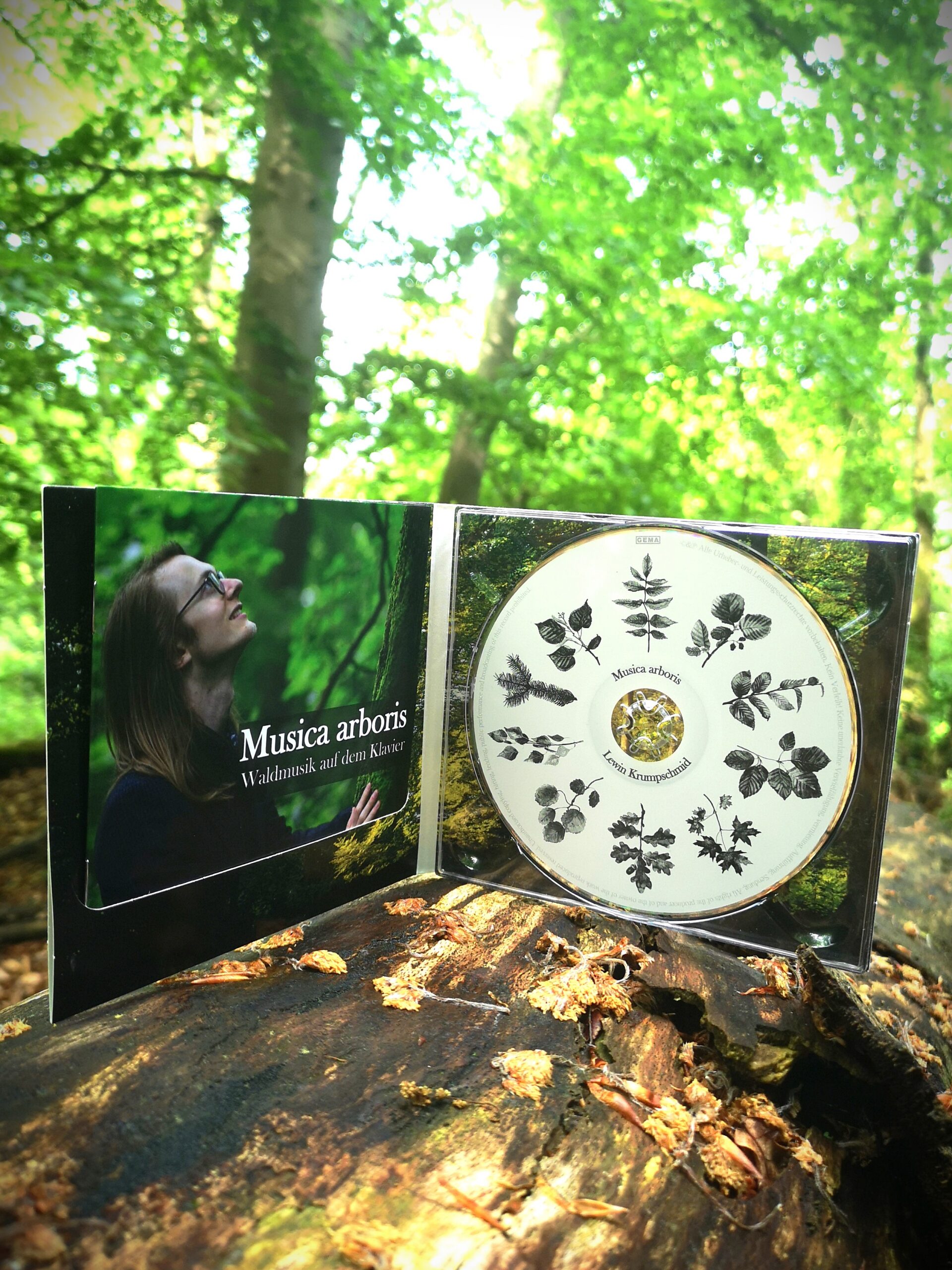 Musica arboris Lewin Krumpschmid